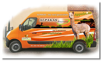 Alpaka Transport zur eigenen Farm.